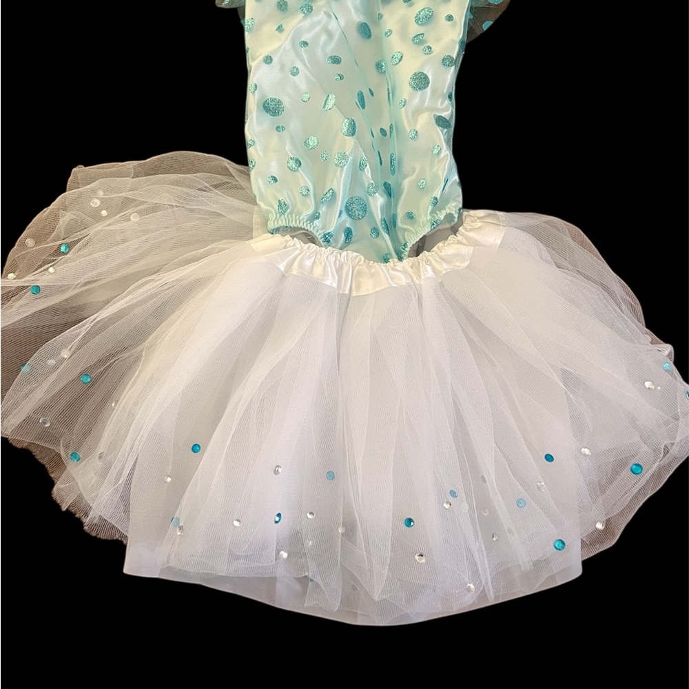 Blue and White Dance Costume with Sparkling Tutu